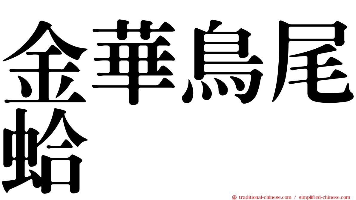金華鳥尾蛤