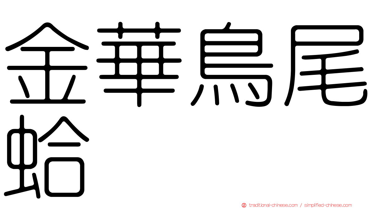 金華鳥尾蛤