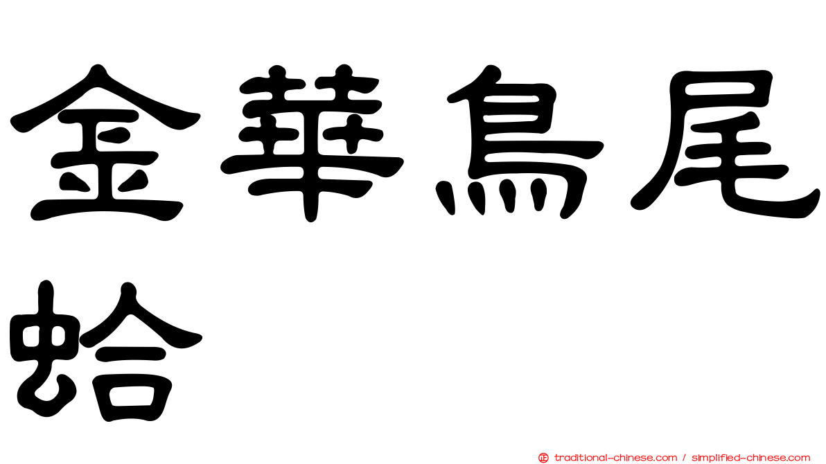 金華鳥尾蛤