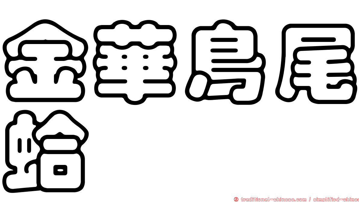 金華鳥尾蛤