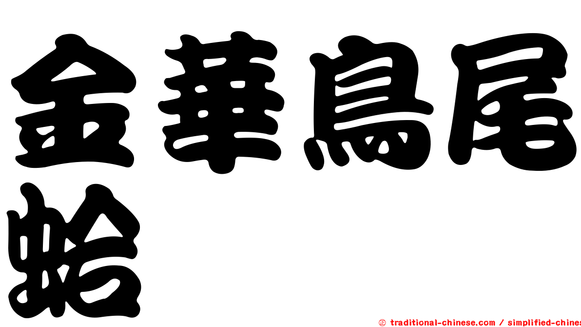 金華鳥尾蛤