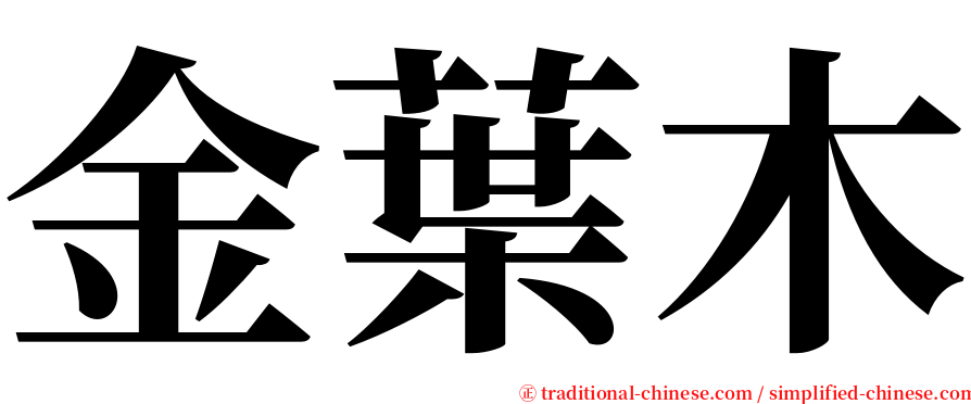 金葉木 serif font
