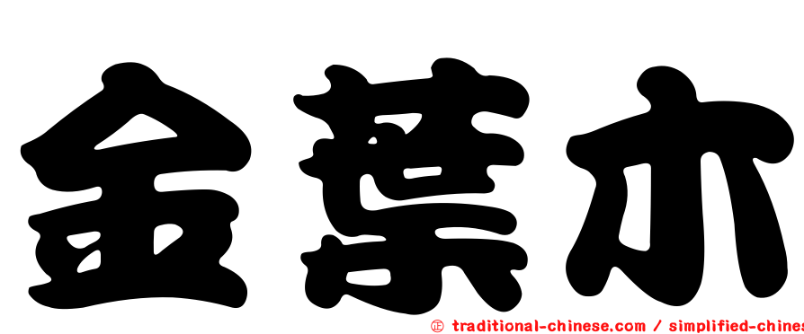 金葉木