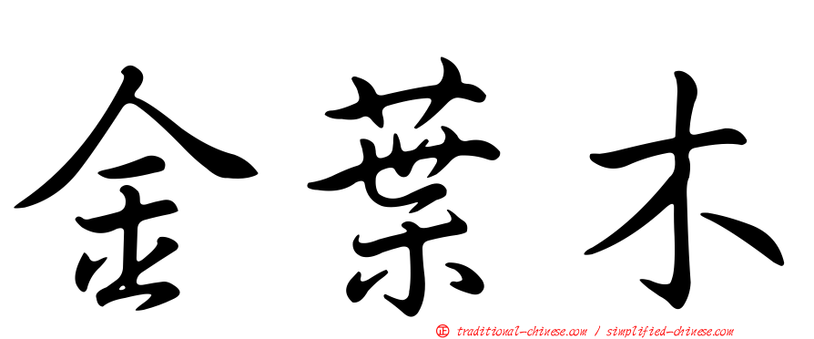 金葉木