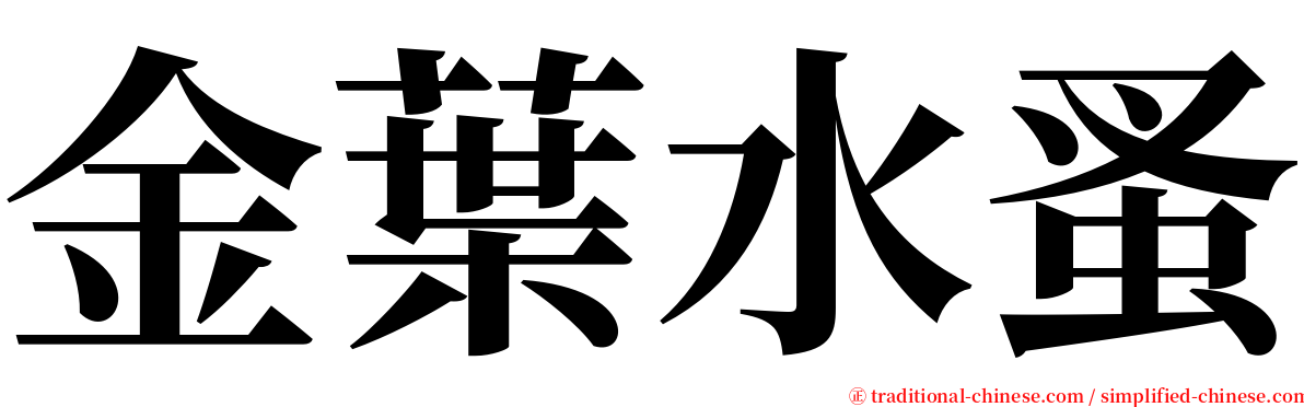 金葉水蚤 serif font