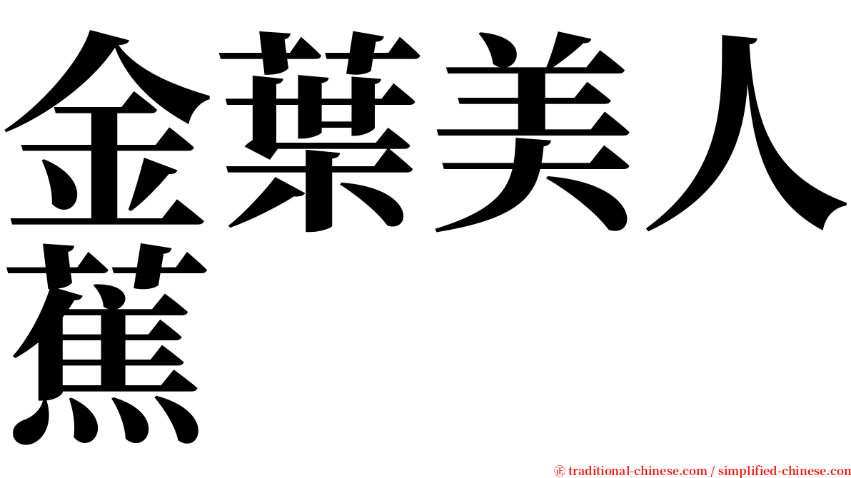 金葉美人蕉 serif font