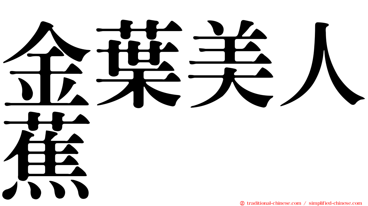 金葉美人蕉