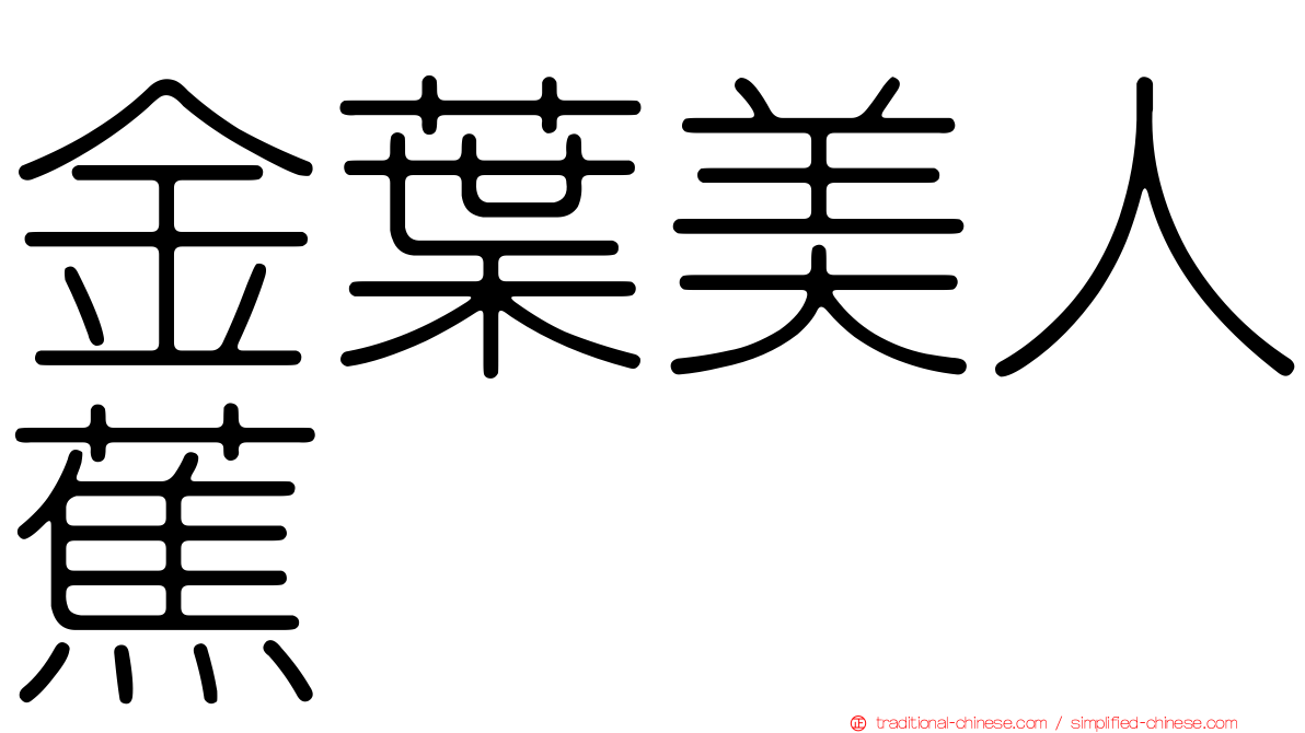 金葉美人蕉