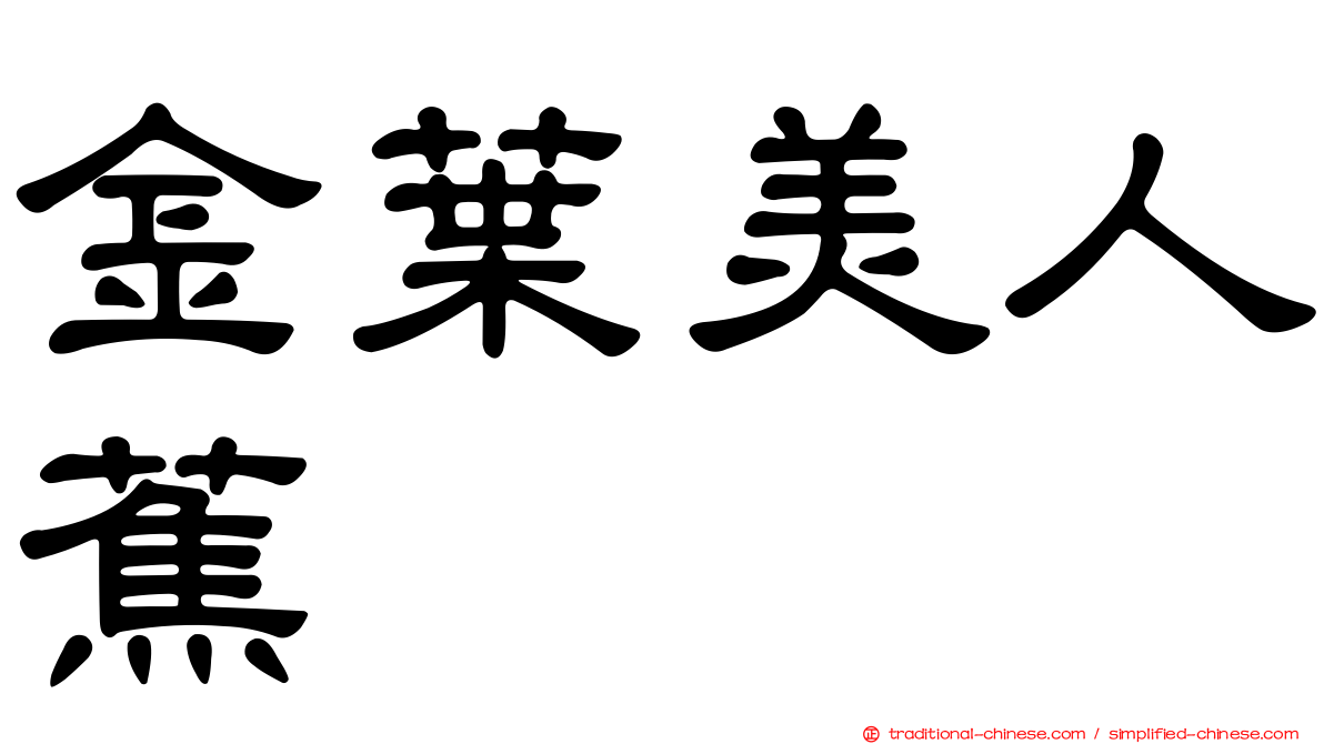 金葉美人蕉