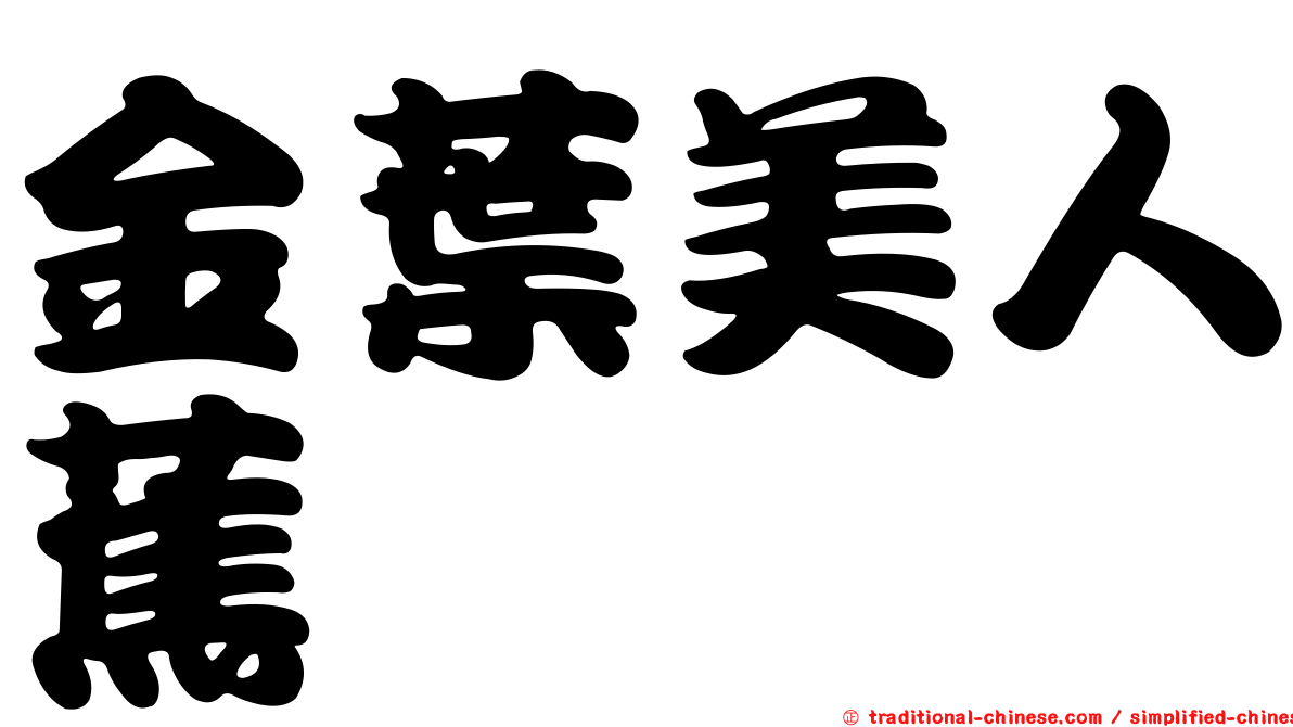 金葉美人蕉