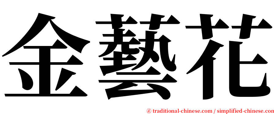 金藝花 serif font