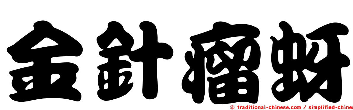金針瘤蚜