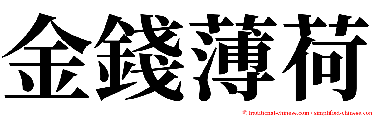 金錢薄荷 serif font