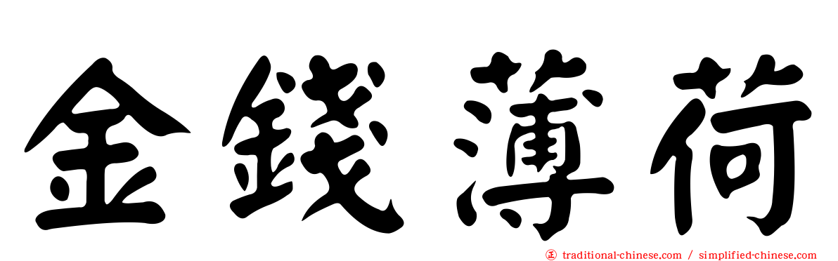金錢薄荷
