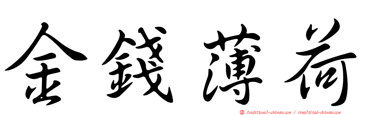 金錢薄荷