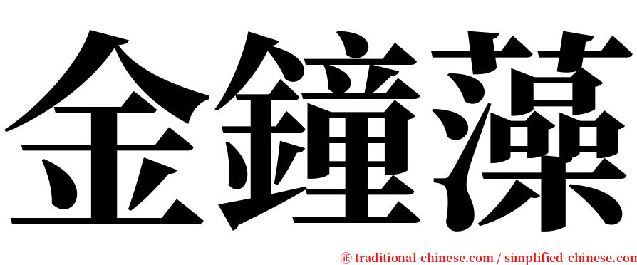 金鐘藻 serif font