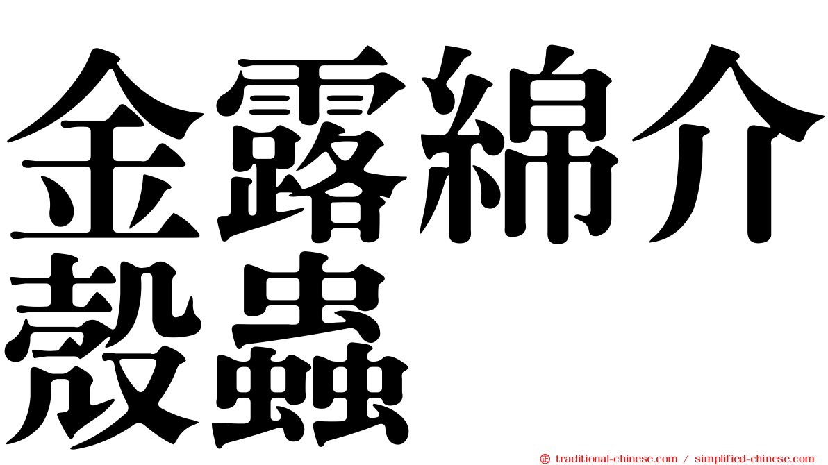 金露綿介殼蟲