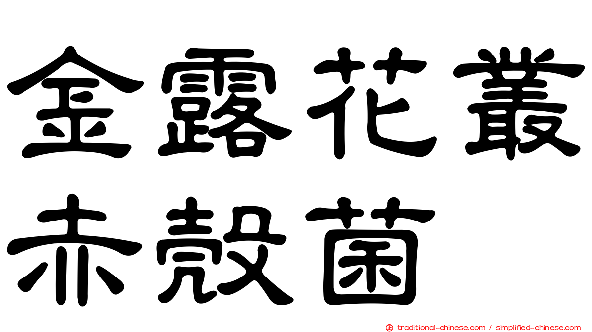 金露花叢赤殼菌