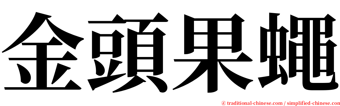 金頭果蠅 serif font