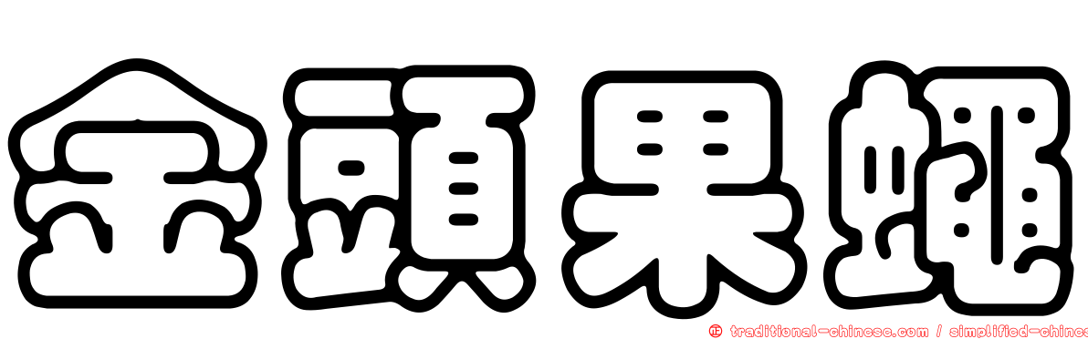 金頭果蠅