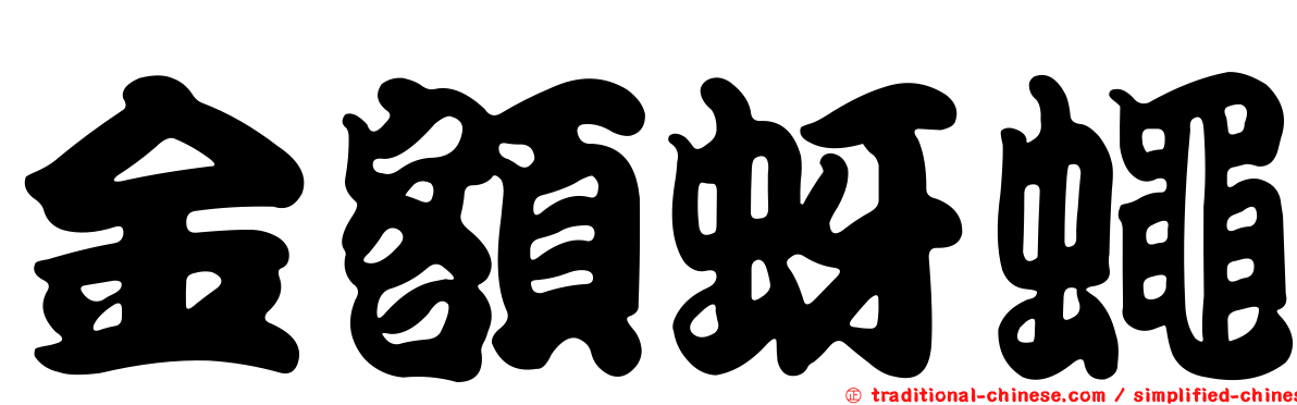 金額蚜蠅