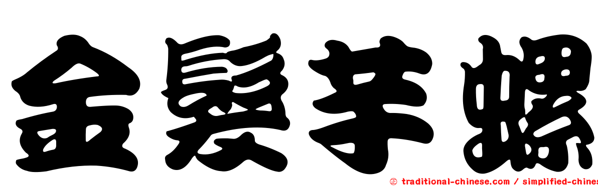 金髮芋螺