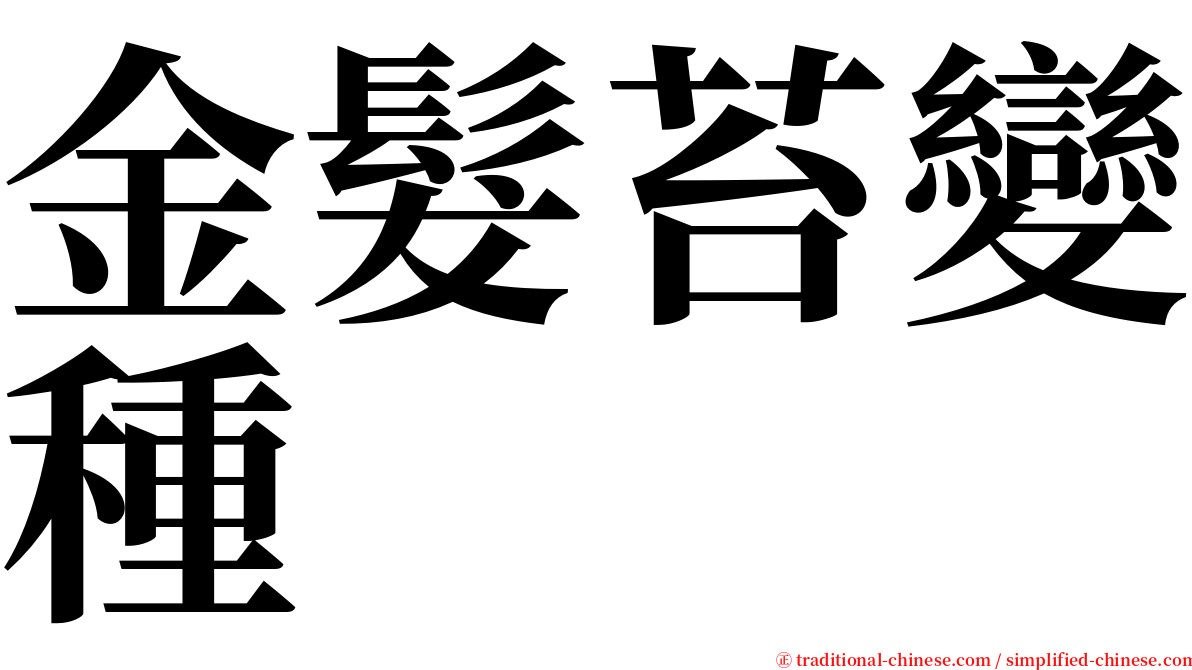 金髮苔變種 serif font