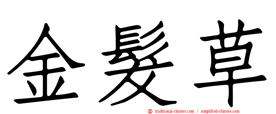 金髮草