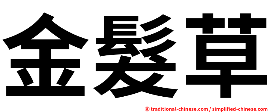 金髮草
