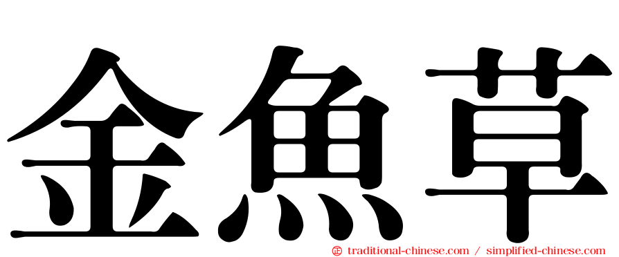 金魚草