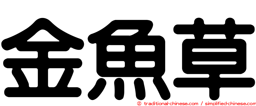 金魚草