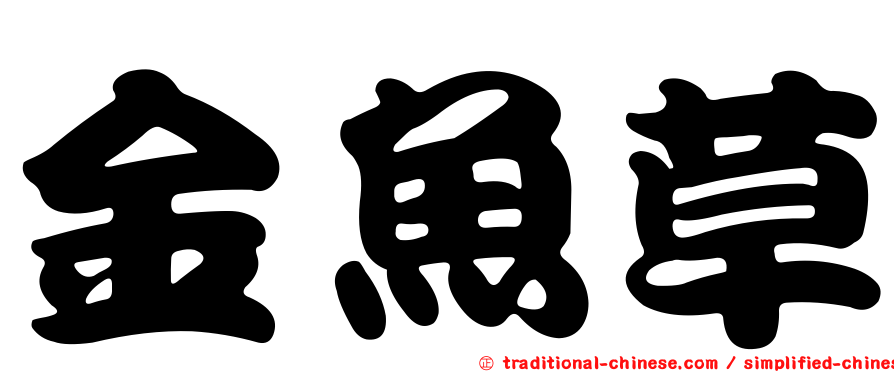 金魚草