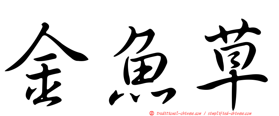 金魚草