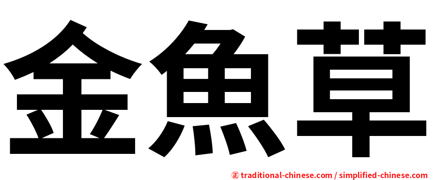 金魚草