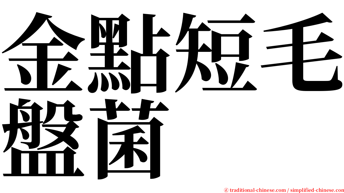 金點短毛盤菌 serif font