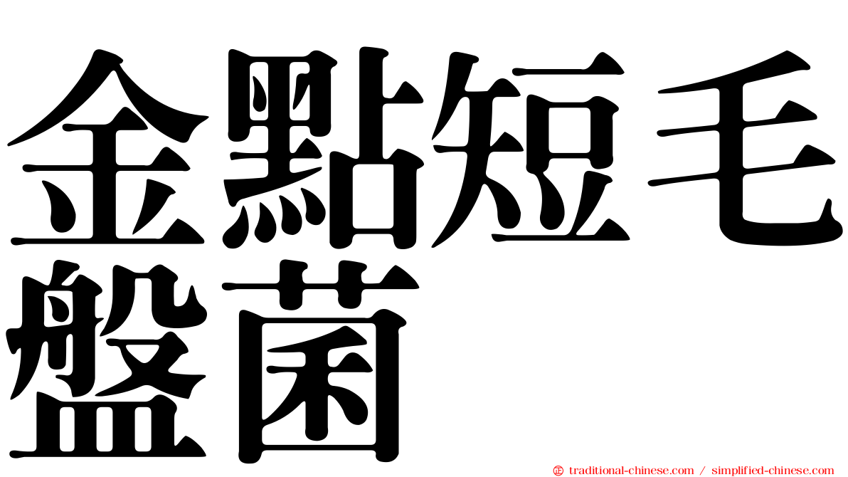 金點短毛盤菌