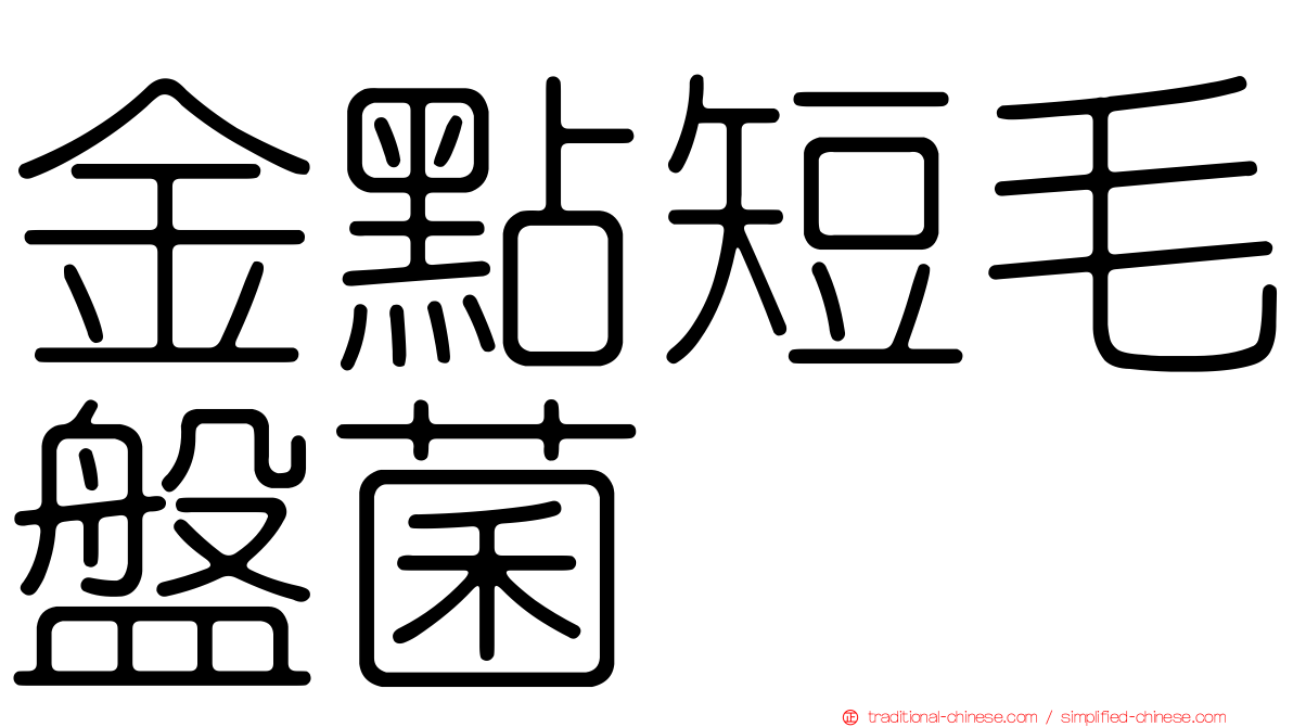 金點短毛盤菌