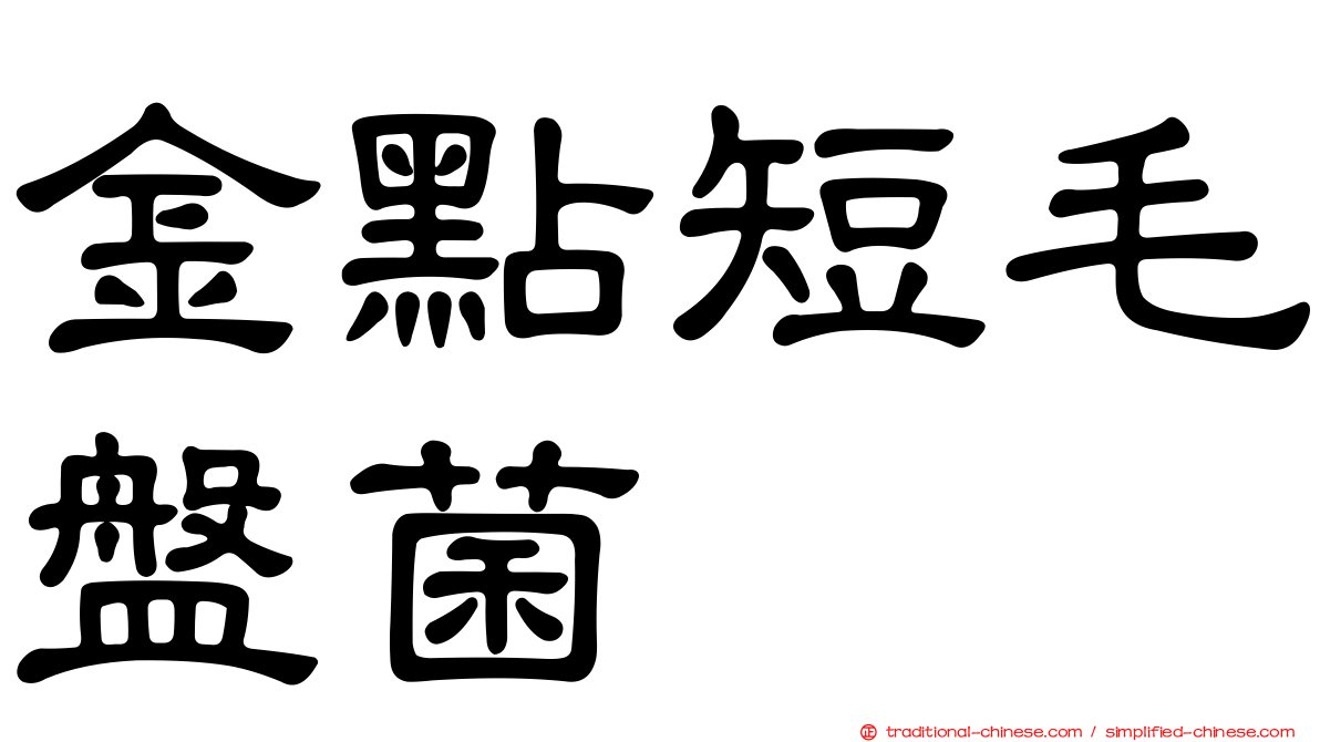 金點短毛盤菌