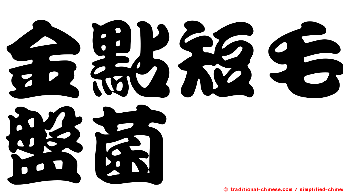 金點短毛盤菌