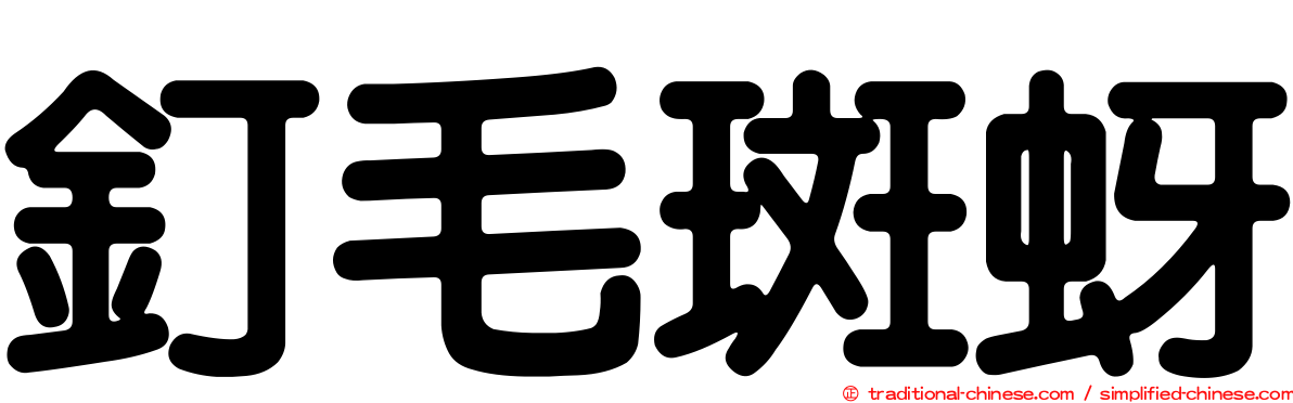 釘毛斑蚜