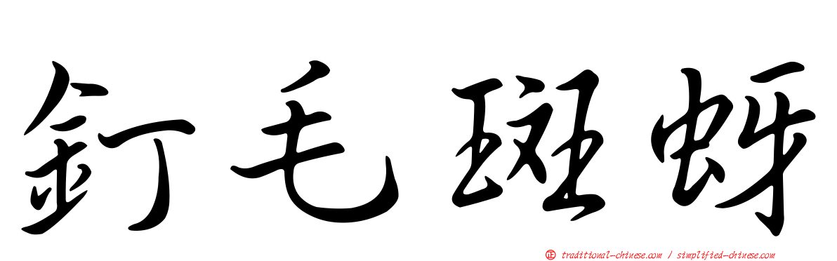 釘毛斑蚜