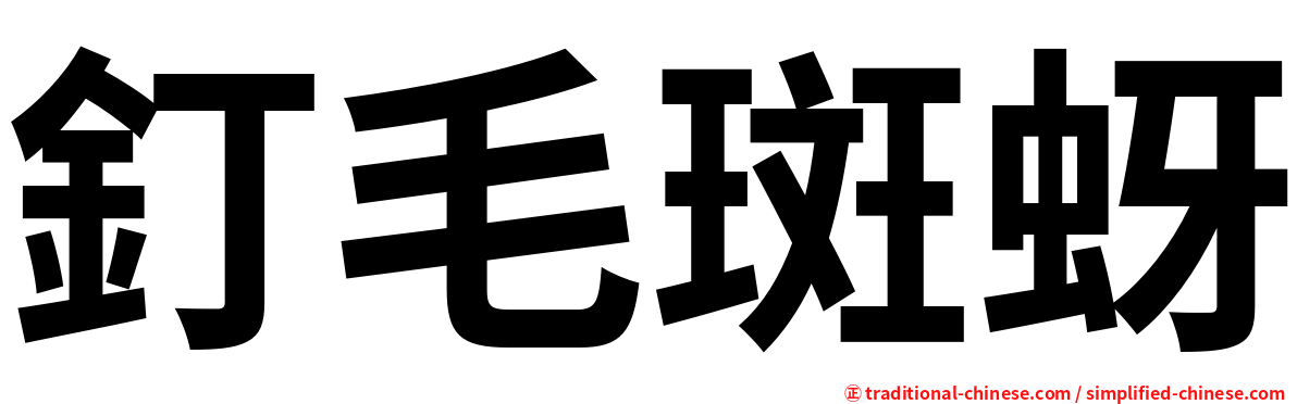 釘毛斑蚜