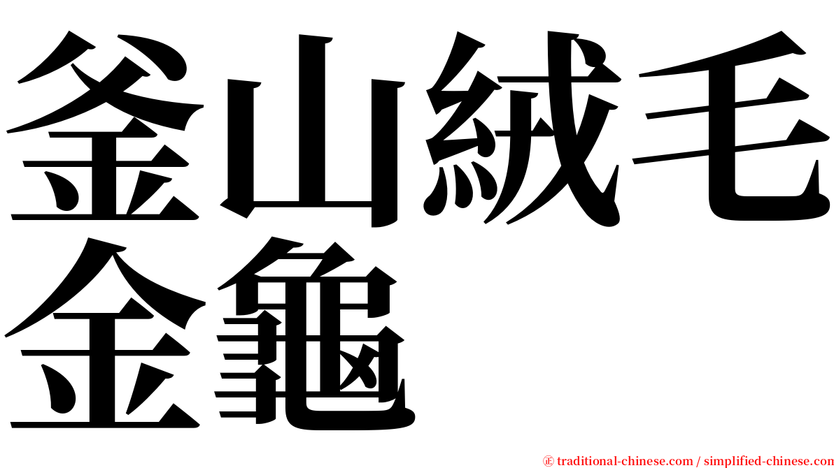 釜山絨毛金龜 serif font