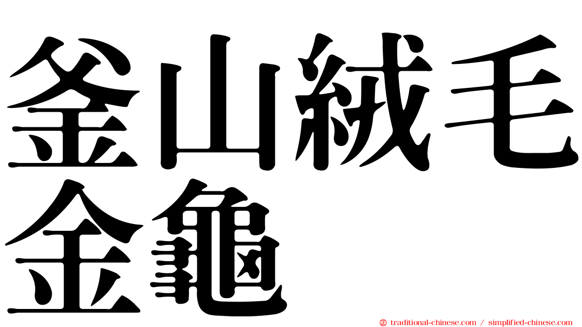 釜山絨毛金龜