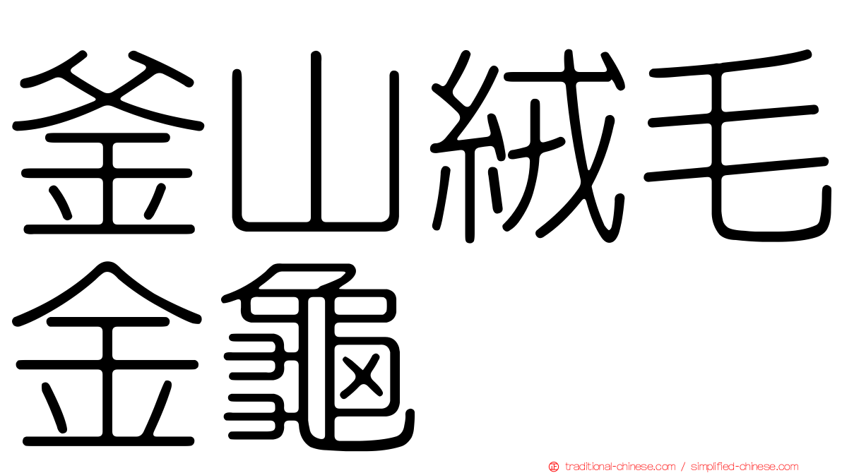 釜山絨毛金龜