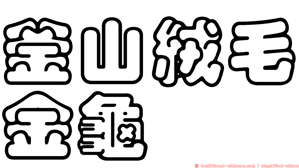 釜山絨毛金龜