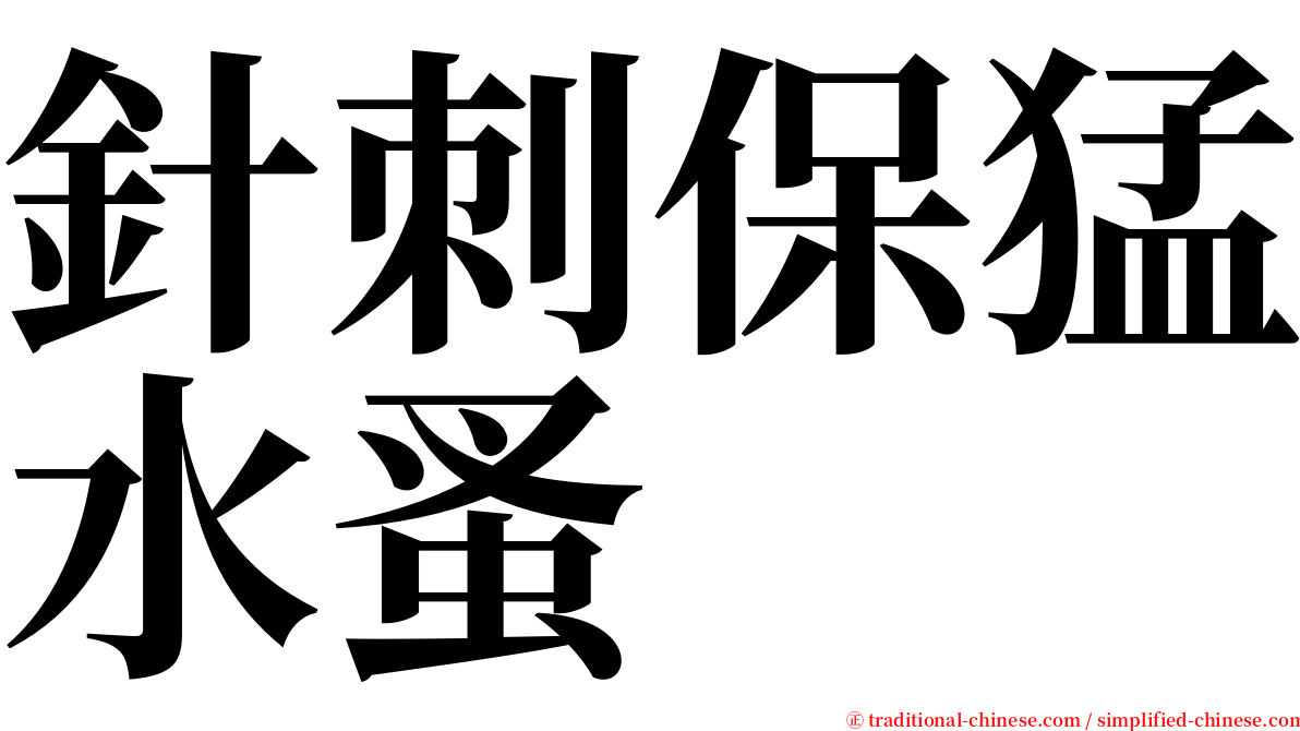 針刺保猛水蚤 serif font
