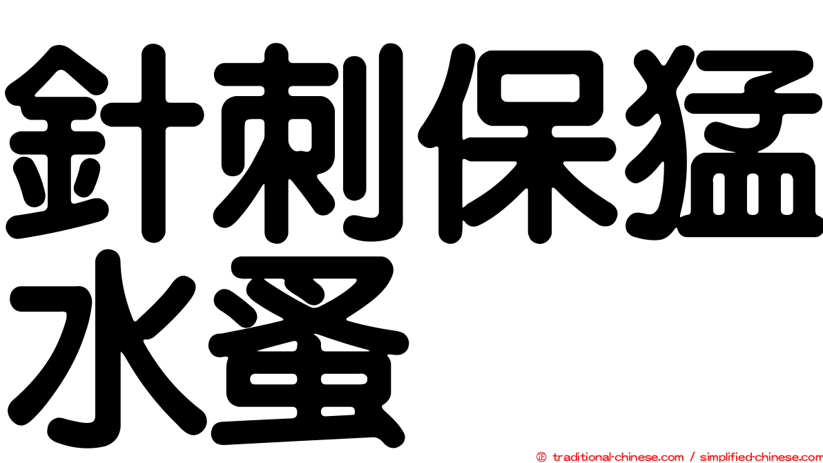 針刺保猛水蚤