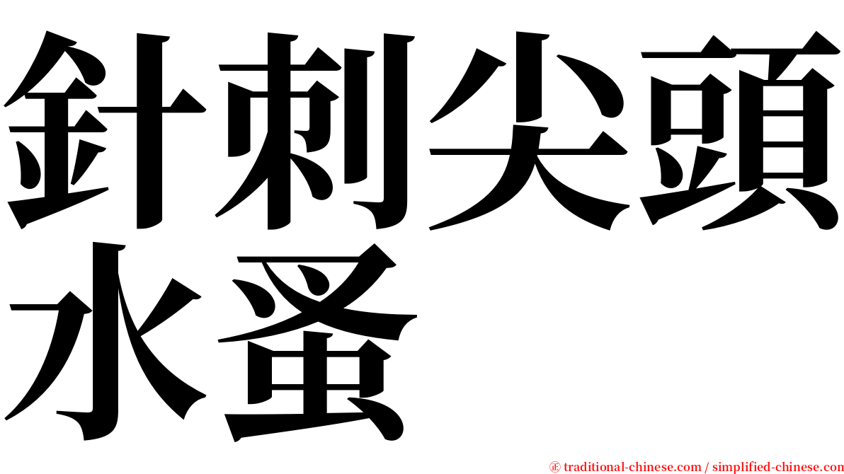 針刺尖頭水蚤 serif font