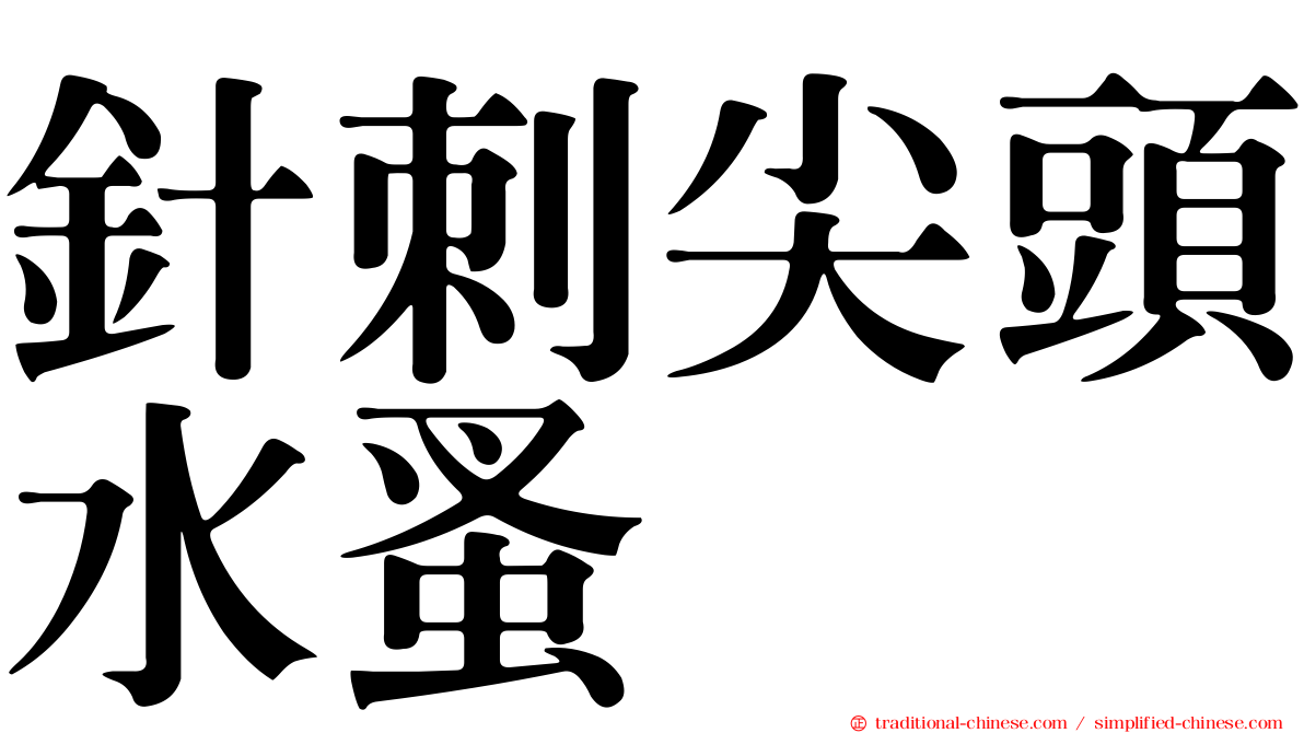 針刺尖頭水蚤